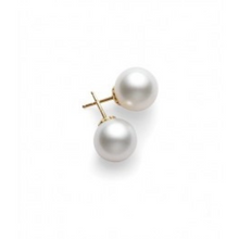 Load image into Gallery viewer, Genuine South Sea Pearl Stud Earrings-White
